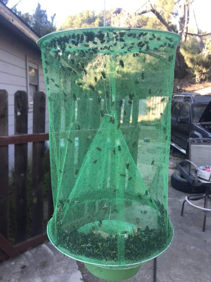 Reusable Ranch Fly Trap - Perfect For Horses And Farm Animals