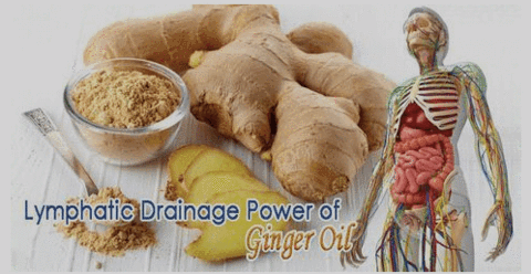 Lymphatic Detox Healing Ginger Patch